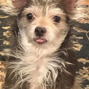 Meet your Posher, Isaura